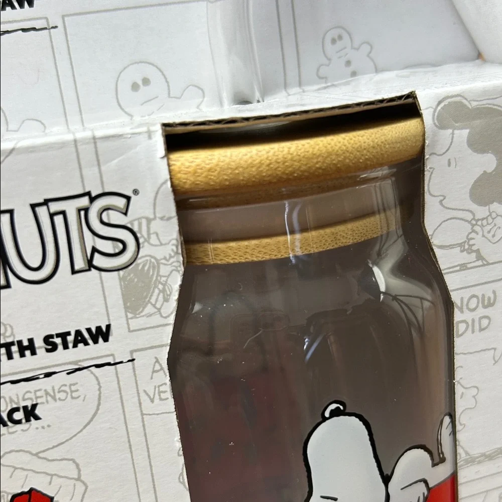 Peanuts Sipper with Straw 2 pack, Snoopy on Dog House with Christmas Lights NEW